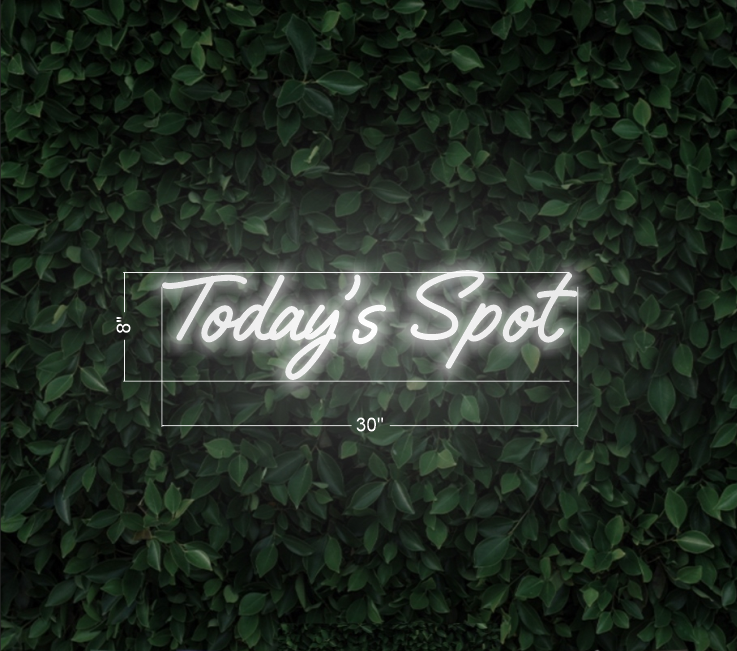 Today's Spot | LED Neon Sign