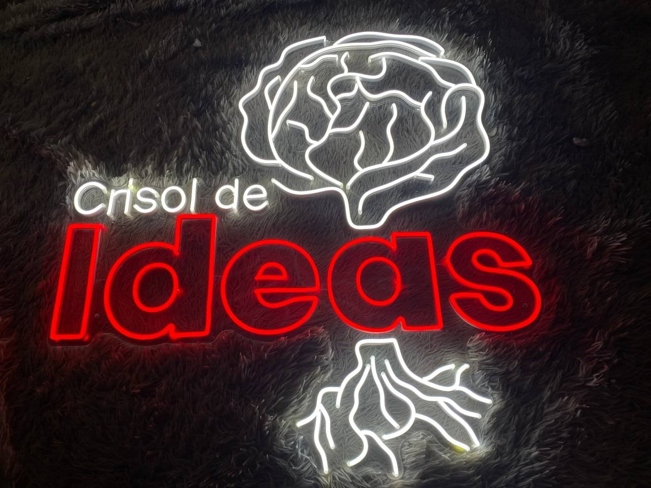 Crisol de Ideas_H529 | LED Neon Sign