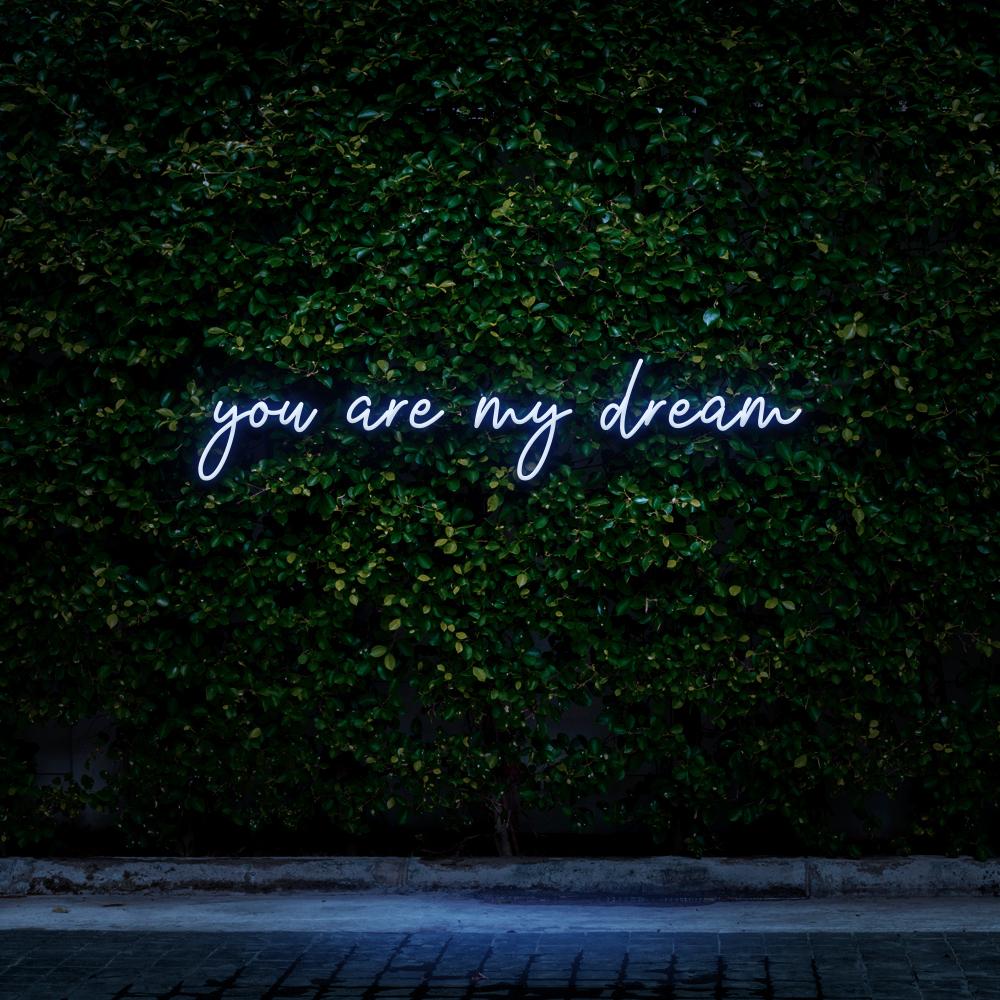 You are my dream | LED Neon Sign