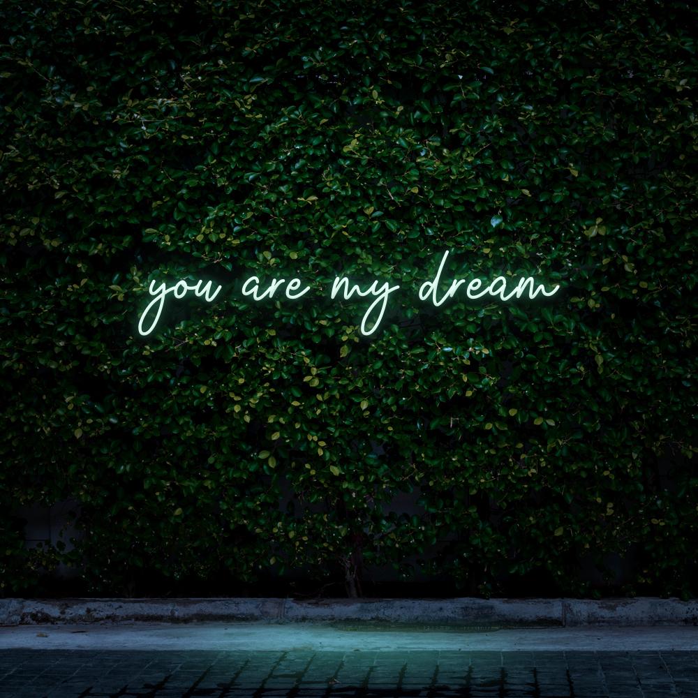 You are my dream | LED Neon Sign