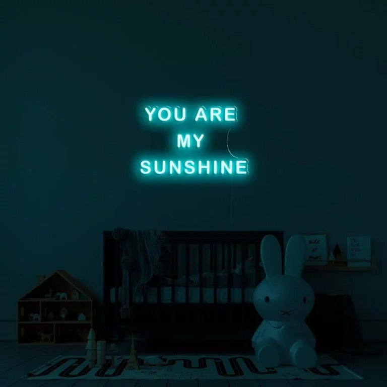 You Are My Sunshine Sign | LED Neon Sign