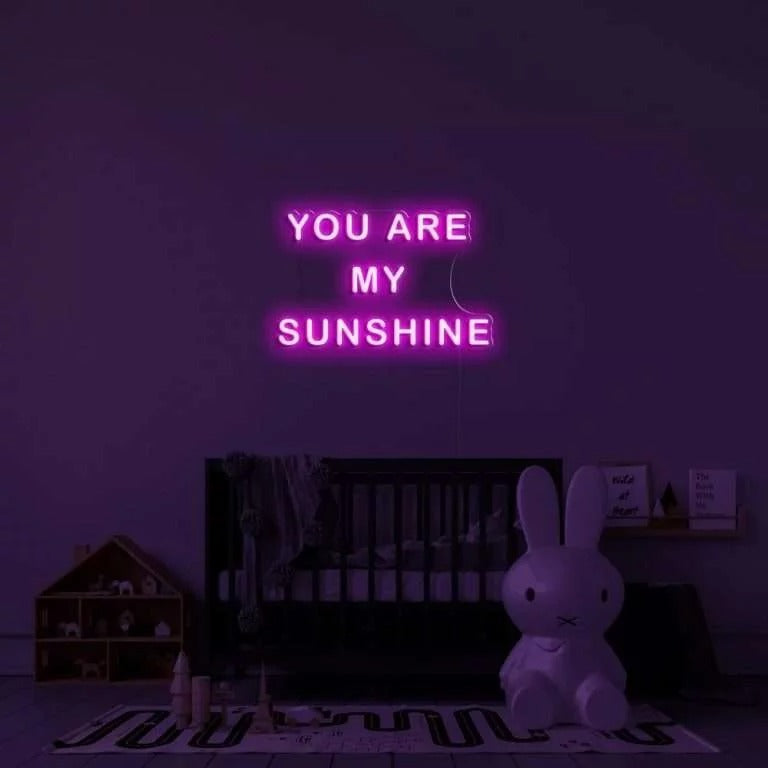 You Are My Sunshine Sign | LED Neon Sign