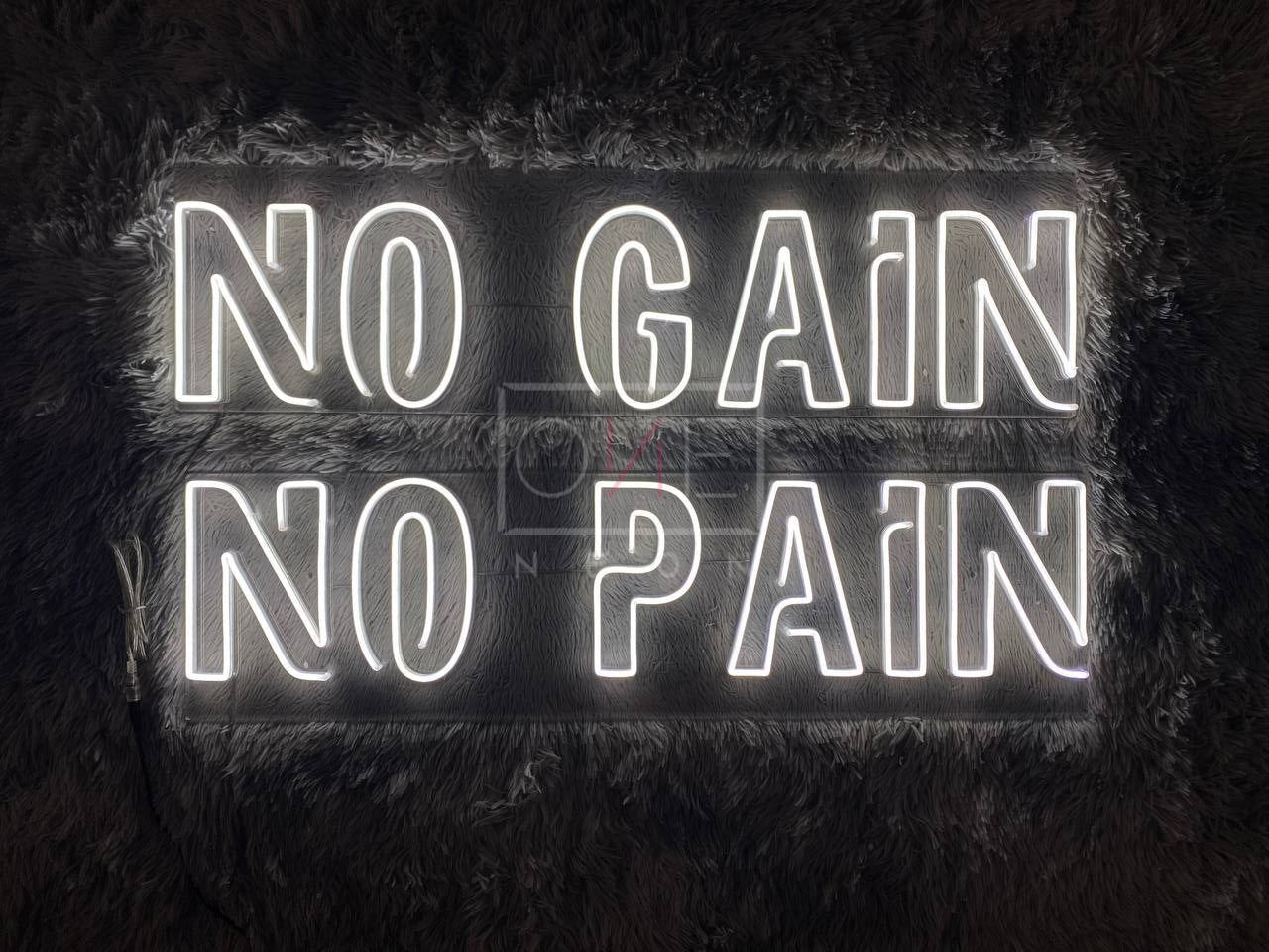 No Pain No Gain | LED Neon Sign