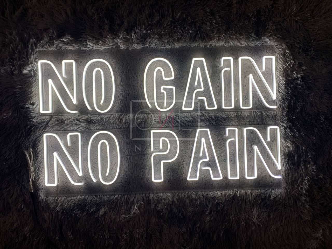 No Pain No Gain | LED Neon Sign