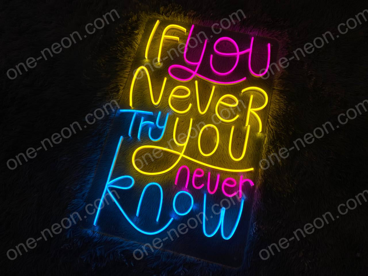 If You Never Try You Never Know | LED Neon Sign