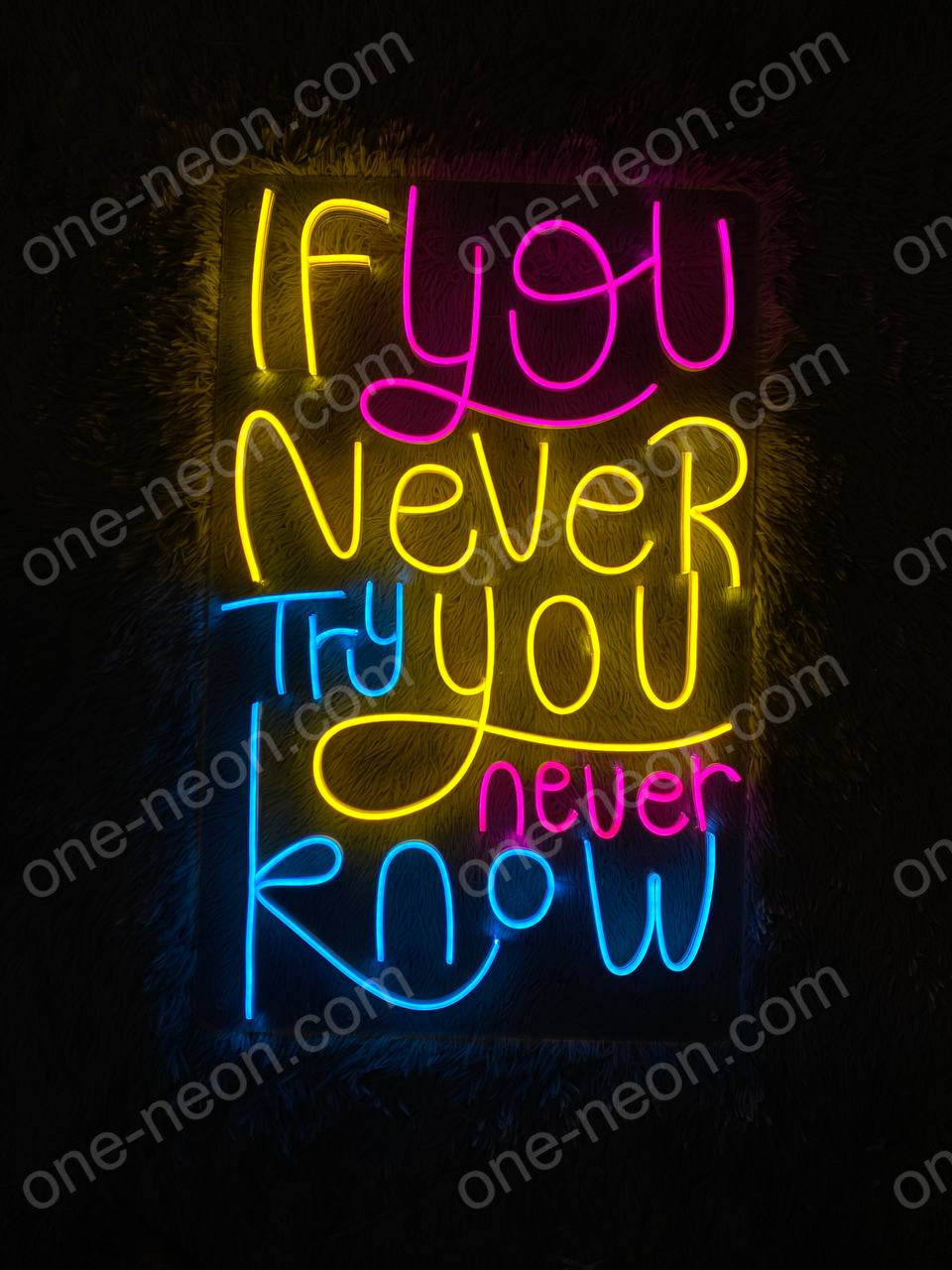 If You Never Try You Never Know | LED Neon Sign