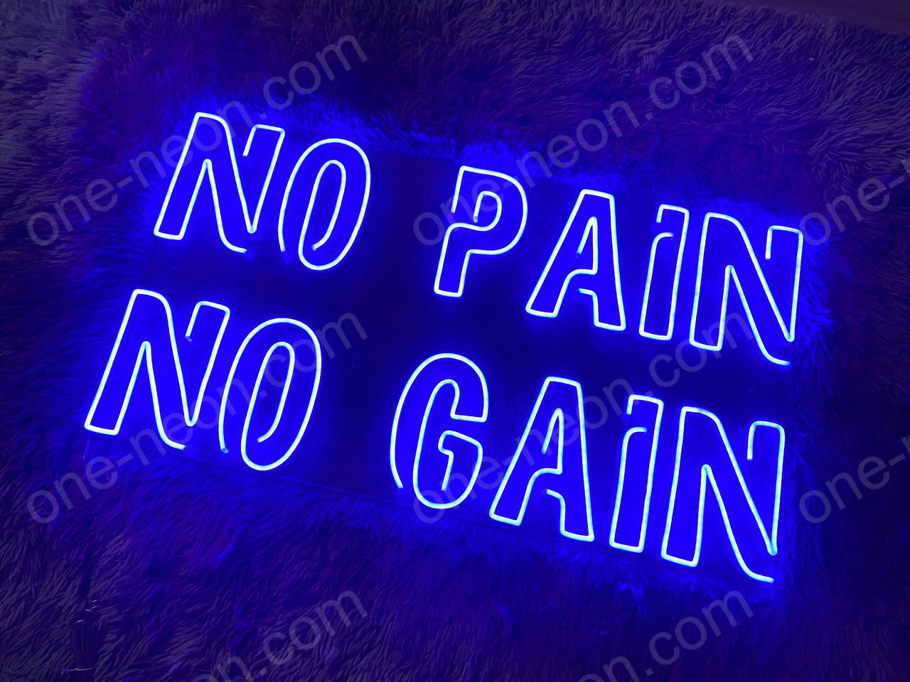 No Pain No Gain | LED Neon Sign