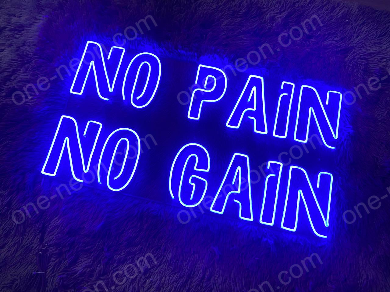 No Pain No Gain | LED Neon Sign