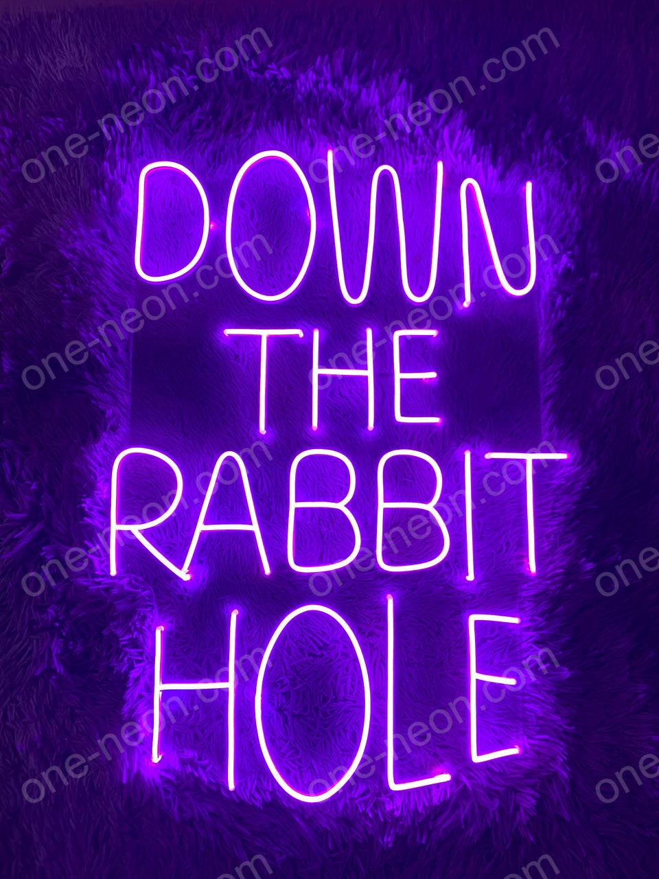 Down The Rabbit Hole | LED Neon Sign