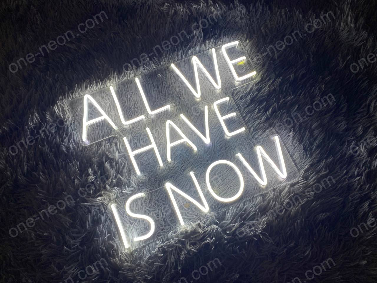 All We Have Is Now | LED Neon Sign