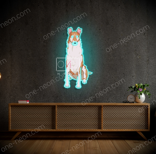 Smooth Collie   | LED Neon Sign