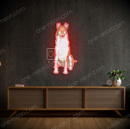 Smooth Collie   | LED Neon Sign