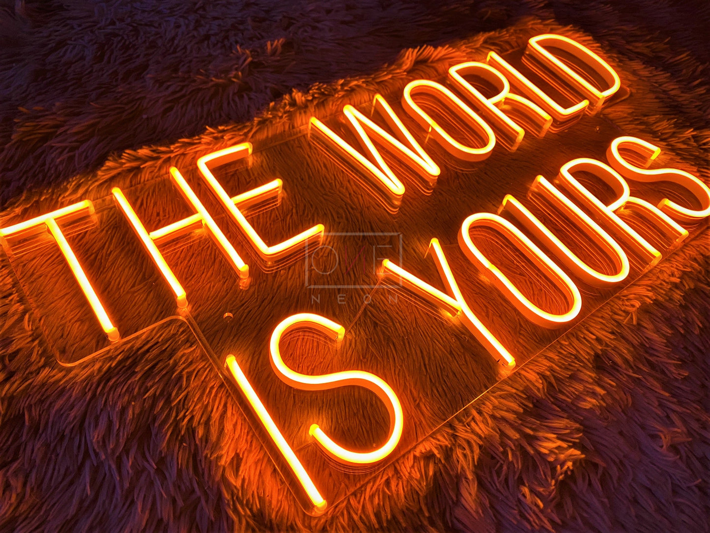 The World Is Your | LED Neon Sign