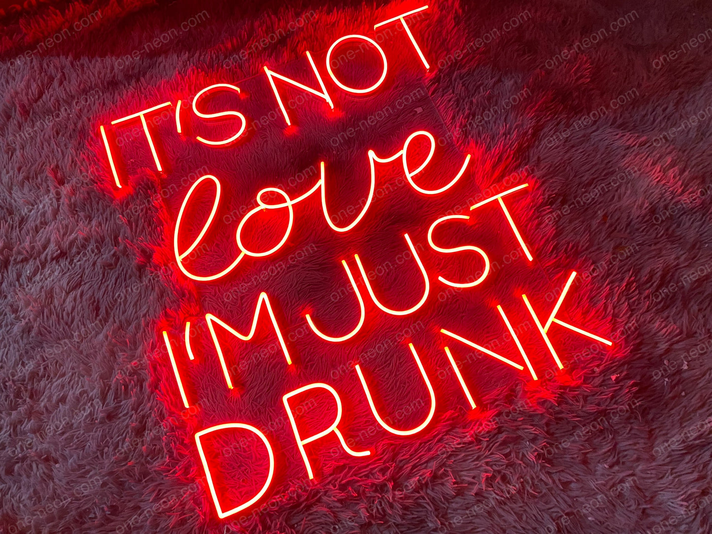 It's Not I'm Just Drunk | LED Neon Sign